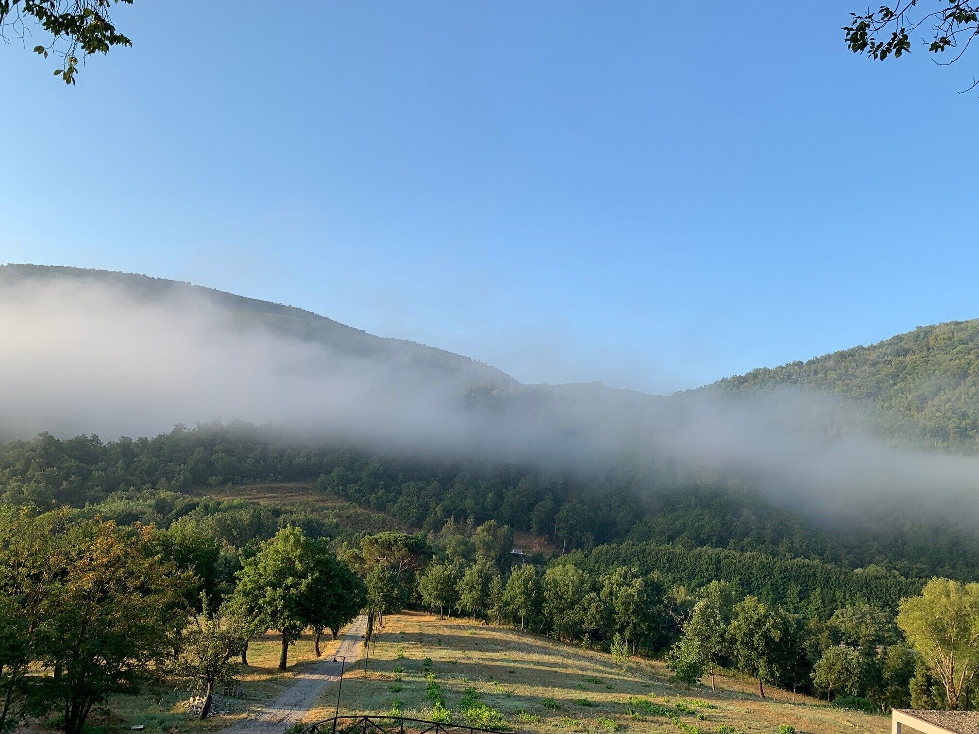 Un paysage comprenant une vallée, des arbres et une colline enveloppée de brume.