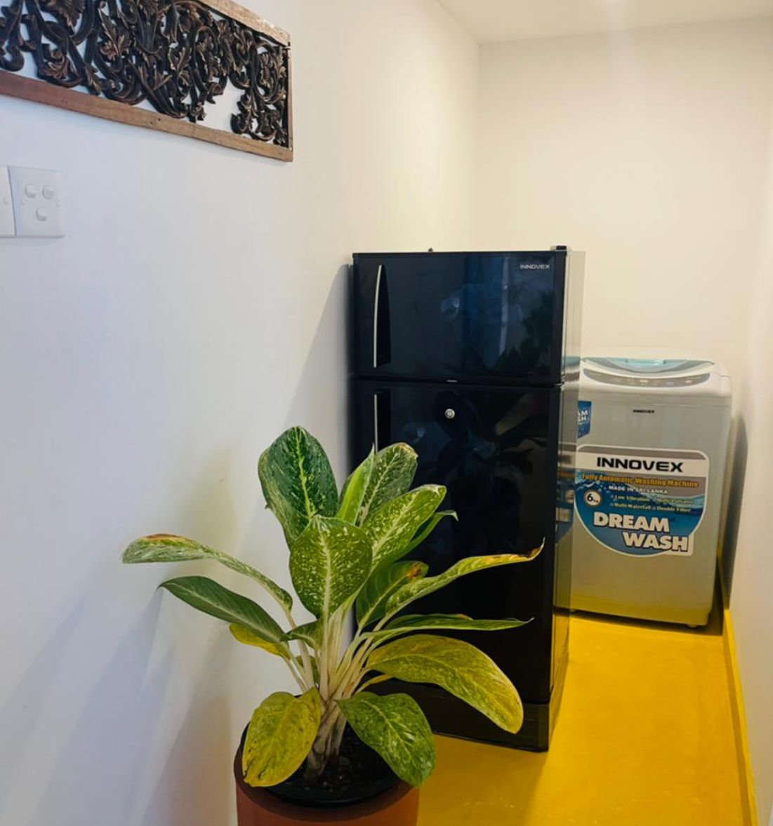 Un réfrigérateur noir, une boîte de lessive de la marque Dream Wash et une plante en pot dans un coin.