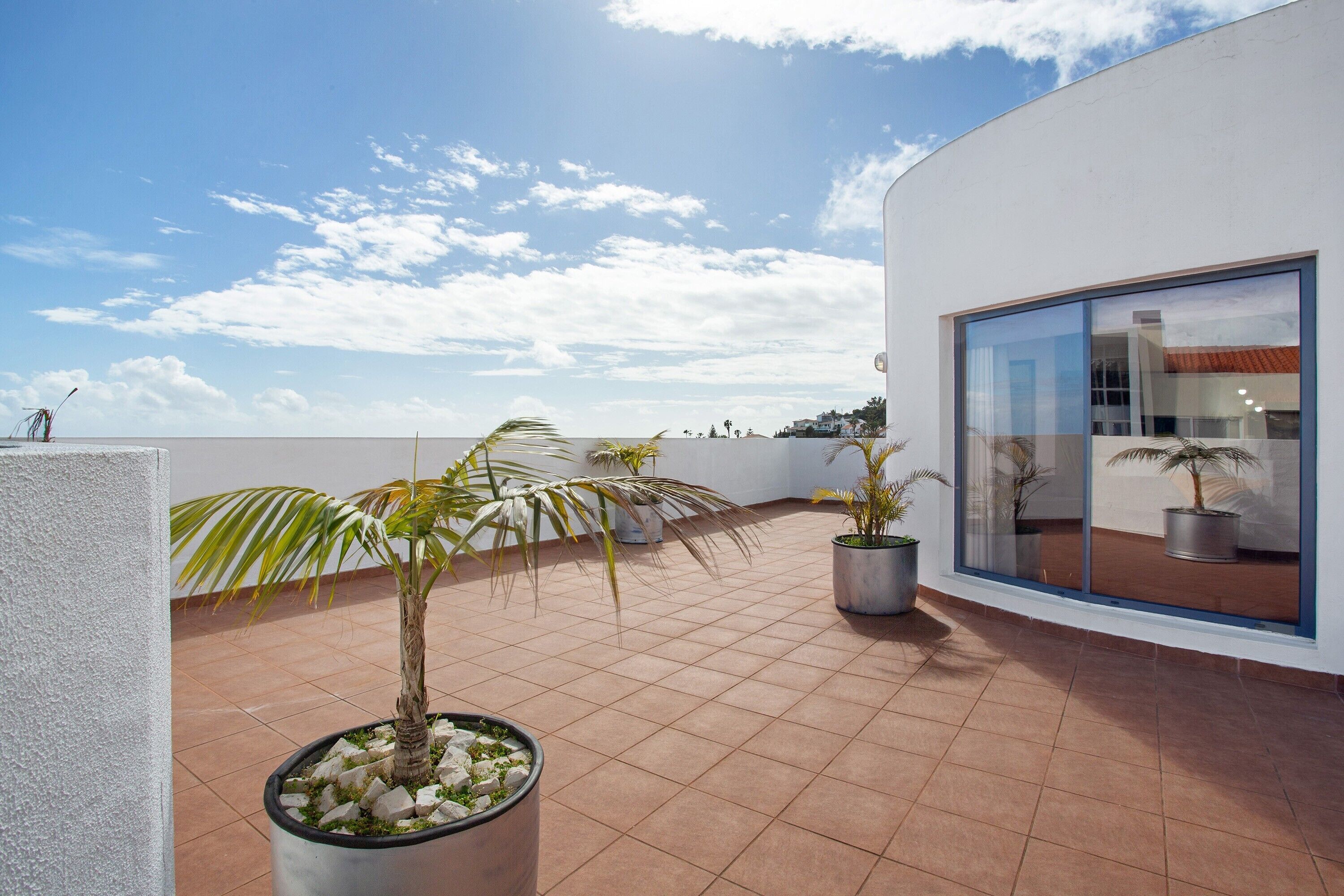 テラス / パティオ