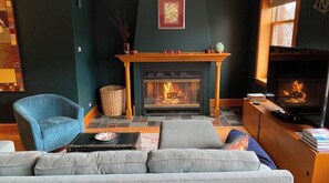 TV connectée, cheminée, lecteur de DVD, livres