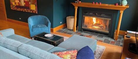 Smart TV, fireplace, DVD player, books