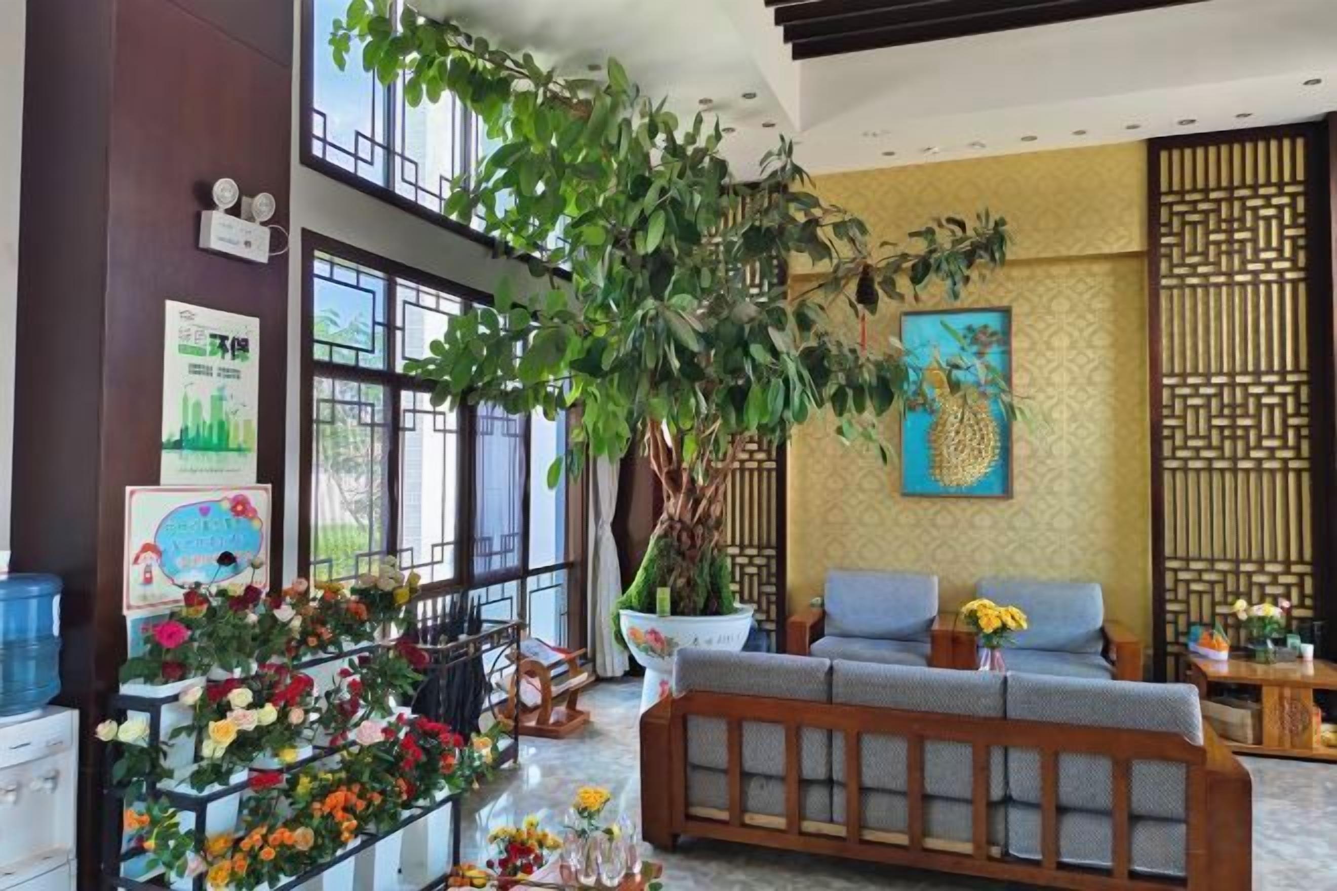 A lobby with a large plant, seating area, and decorative wall art.