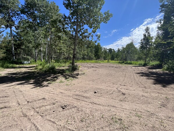 Un sendero de tierra rodeado de árboles.