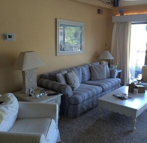 Smart TV, DVD player, books, stereo