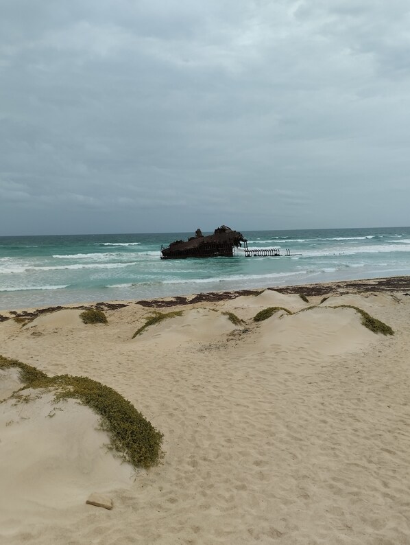 Explore the remnants of a historic shipwreck on a serene beach with sandy shores and seaweed-covered terrain.