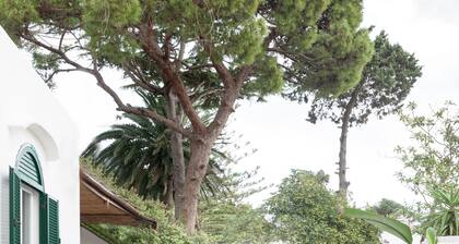 Villa Michela, 2BR, 2BT, amazing patio, jacuzzi, newly renovated