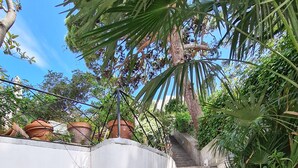 A set of stone steps leading up to a white wall with potted plants and a metal railing. - Villa Michela, 2BR, 2BT, amazing patio, newly renovated (Capri)
