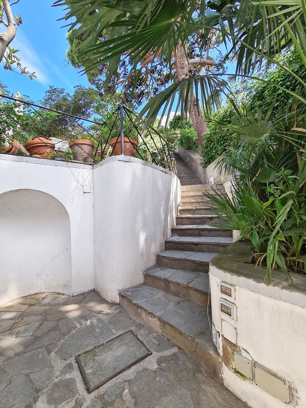 A set of stone steps leading up to a white wall with potted plants and a metal railing.
