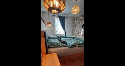 To the old cucumber pickling plant