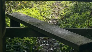 A wooden bench overlooking a green field with a distant view of a house and hills.