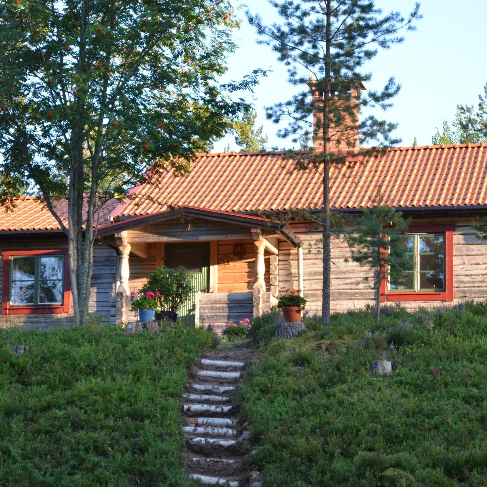 in summer