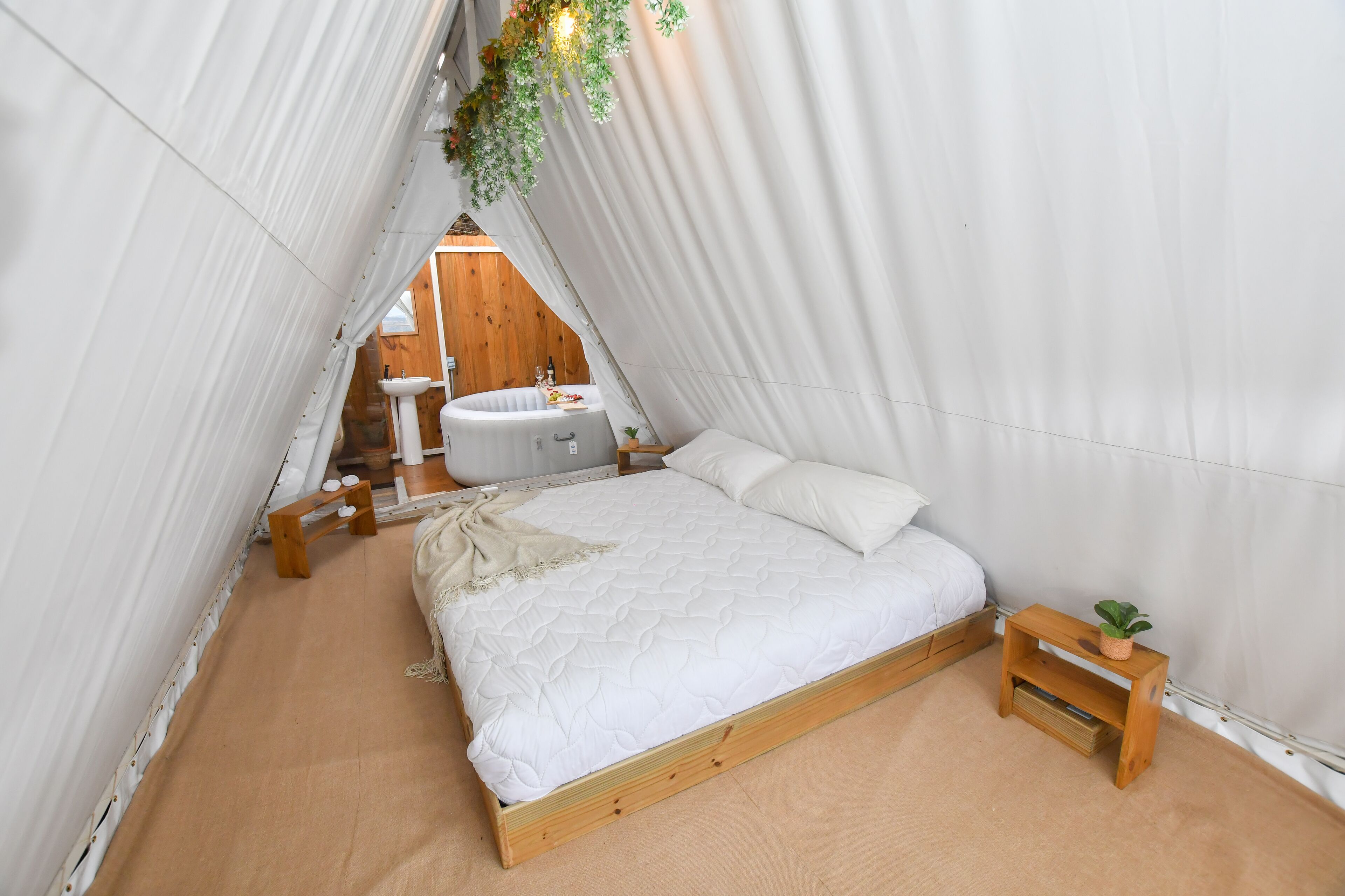 Una habitación con tienda de campaña, una cama, una mesita de noche de madera con una planta y un lavabo blanco al fondo.