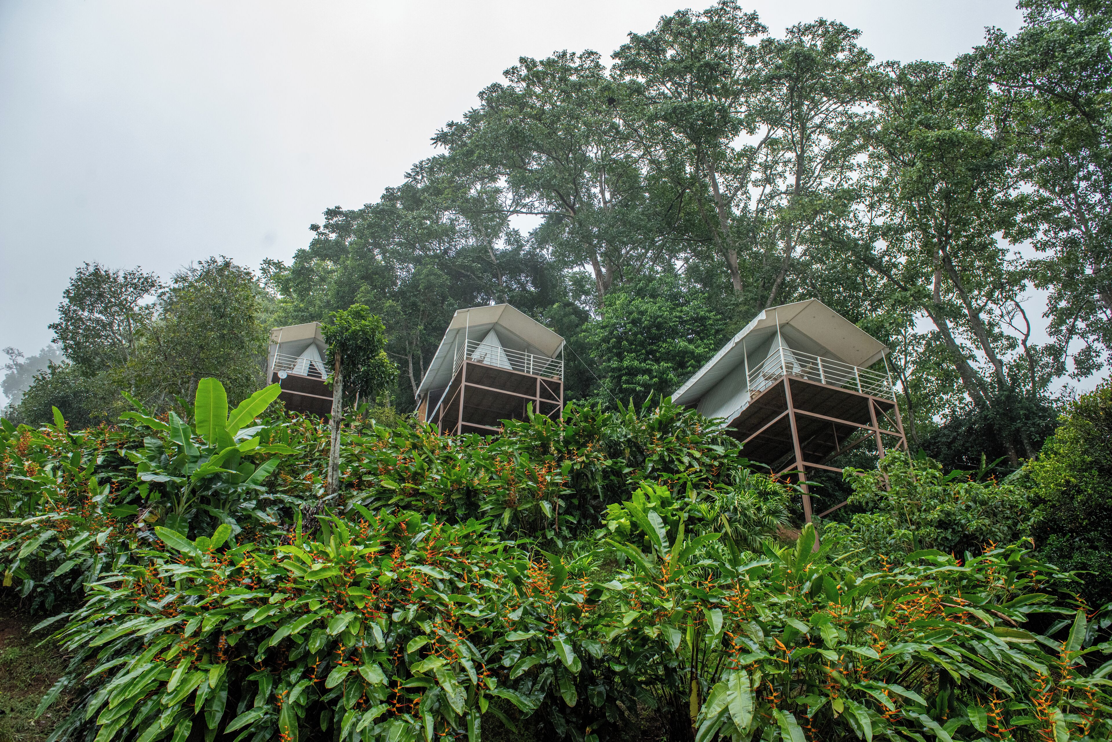 Deluxe Tent | Living area