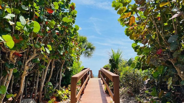Una passerella in legno che si snoda attraverso un giardino tropicale, con fitta vegetazione su entrambi i lati.