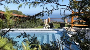 Une piscine avec vue sur la mer, entourée de verdure et délimitée par une clôture en bois.