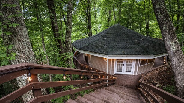 Une cabane perchée dans un arbre, dotée d’un escalier en bois et d’un toit de chaume, entourée d’une forêt dense.
