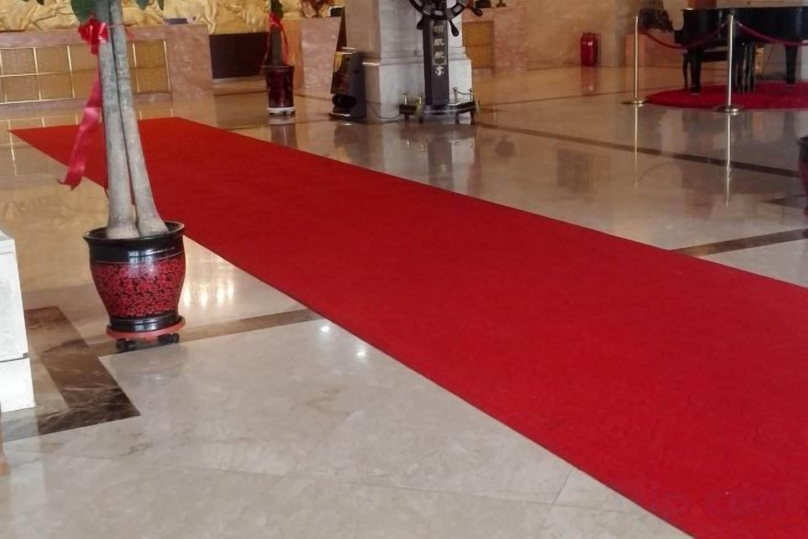 A red carpet leading to a reception area with a potted plant and a fire extinguisher.