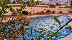 En swimmingpool med en kant som är klädd med kakel, omgiven av en låg mur med dekorativa växter och en liten sittplats.