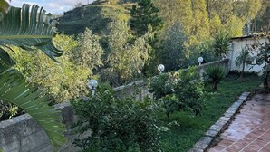 A garden with a tiled pathway, lush greenery, and a hill in the background. - Villa Sotto le Stelle for a relaxing holiday with a view of the Aeolian Islands (Orto Liuzzo)