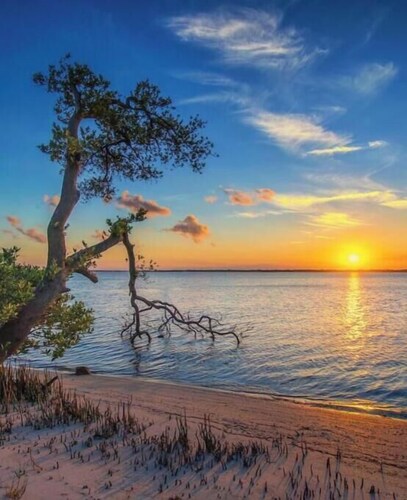 The Orange Door - Coastal Escape