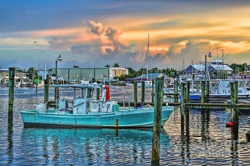 The Orange Door - Coastal Escape