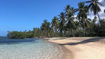Camastros y toallas de playa