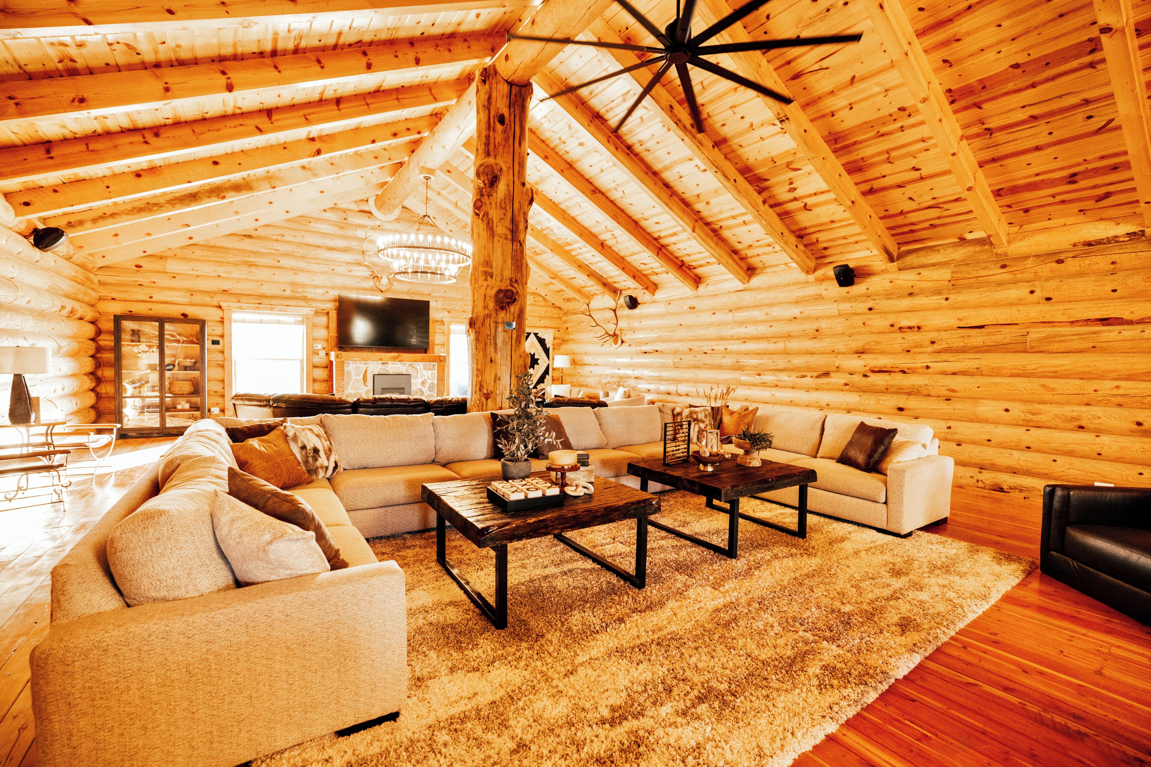 Smart TV, fireplace, video games, DVD player
