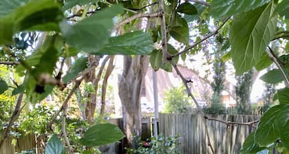 Amazing location, sleeps 5, gorgeous original Glebe terrace, great value!