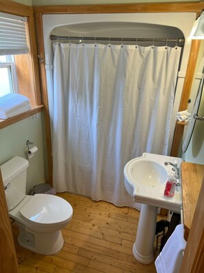 Shower, hair dryer