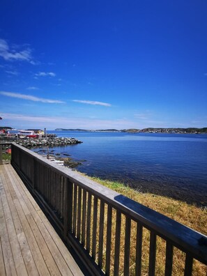 Property grounds - Jagged Rocks Summary: (Twillingate)