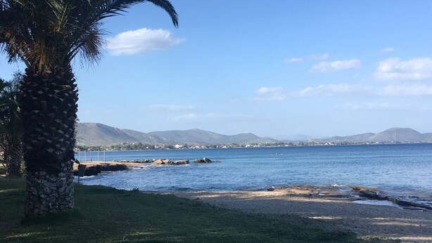 A coastal landscape with a palm tree, grassy area, rocky shoreline, and distant mountains. - "Lux 3-bedroom Villa - L&L Refuge" (Nea Makri)