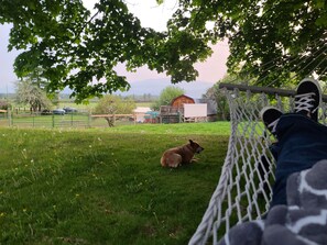 Overnattingsstedets uteområder