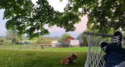 Cozy and Spacious 3 Bedroom Home with Mountain Views 10 Minutes from Downtown