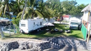 A campsite with RVs, a grassy area, and palm trees. - San Blas RV Park Frente al Mar (San Blas)