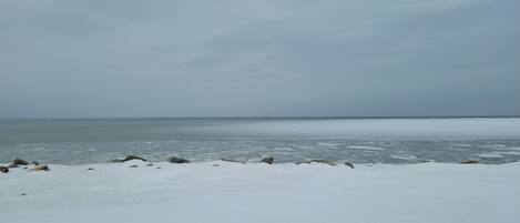 A snowy beach with a calm sea and overcast sky.