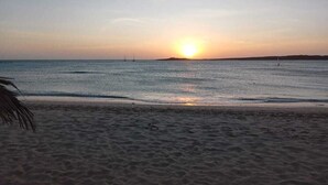 Une plage avec un coucher de soleil sur l’eau, un palmier et une côte lointaine.
