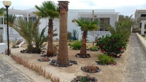 Un jardin agrémenté de palmiers, de rochers et de plantes, situé devant un bâtiment blanc avec une clôture blanche.