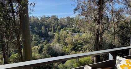 Beautiful Canyon View Suite, 1100 sq. ft., private deck, full kitchen