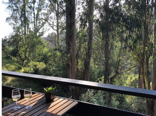 Beautiful Canyon View Suite, 1100 sq. ft., private deck, full kitchen