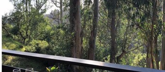 Beautiful Canyon View Suite, 1100 sq. ft., private deck, full kitchen