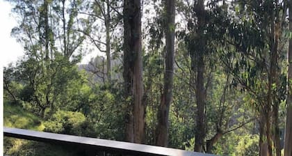 Beautiful Canyon View Suite, 1100 sq. ft., private deck, full kitchen