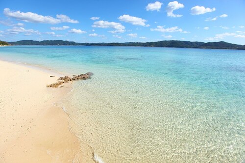 Botanical  Ocean View Ryukyu Villa Cycad / Oshima-gun Kagoshima