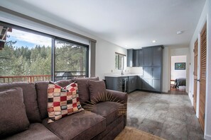 TV, fireplace, books