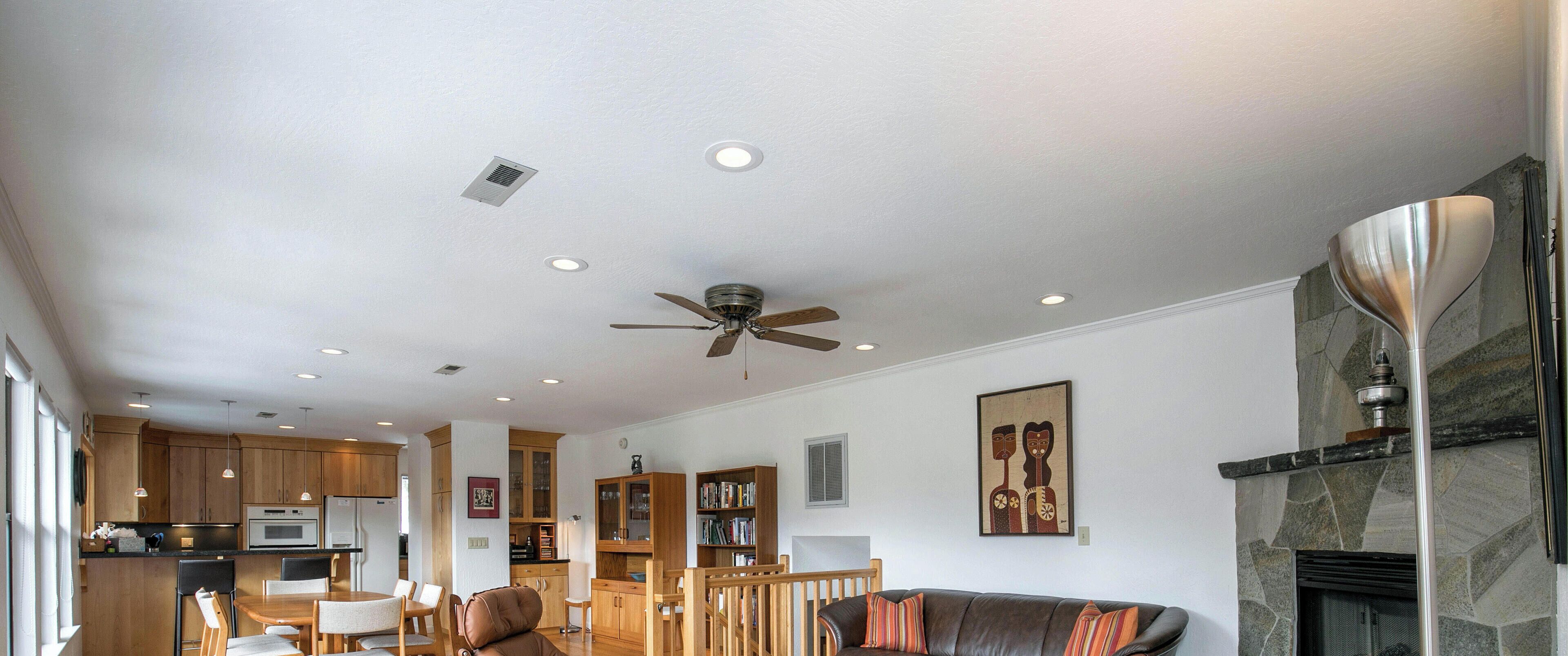 TV, fireplace, books