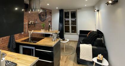 Escale Studio 21m² Aéroport CDG Parc Expo/astérix