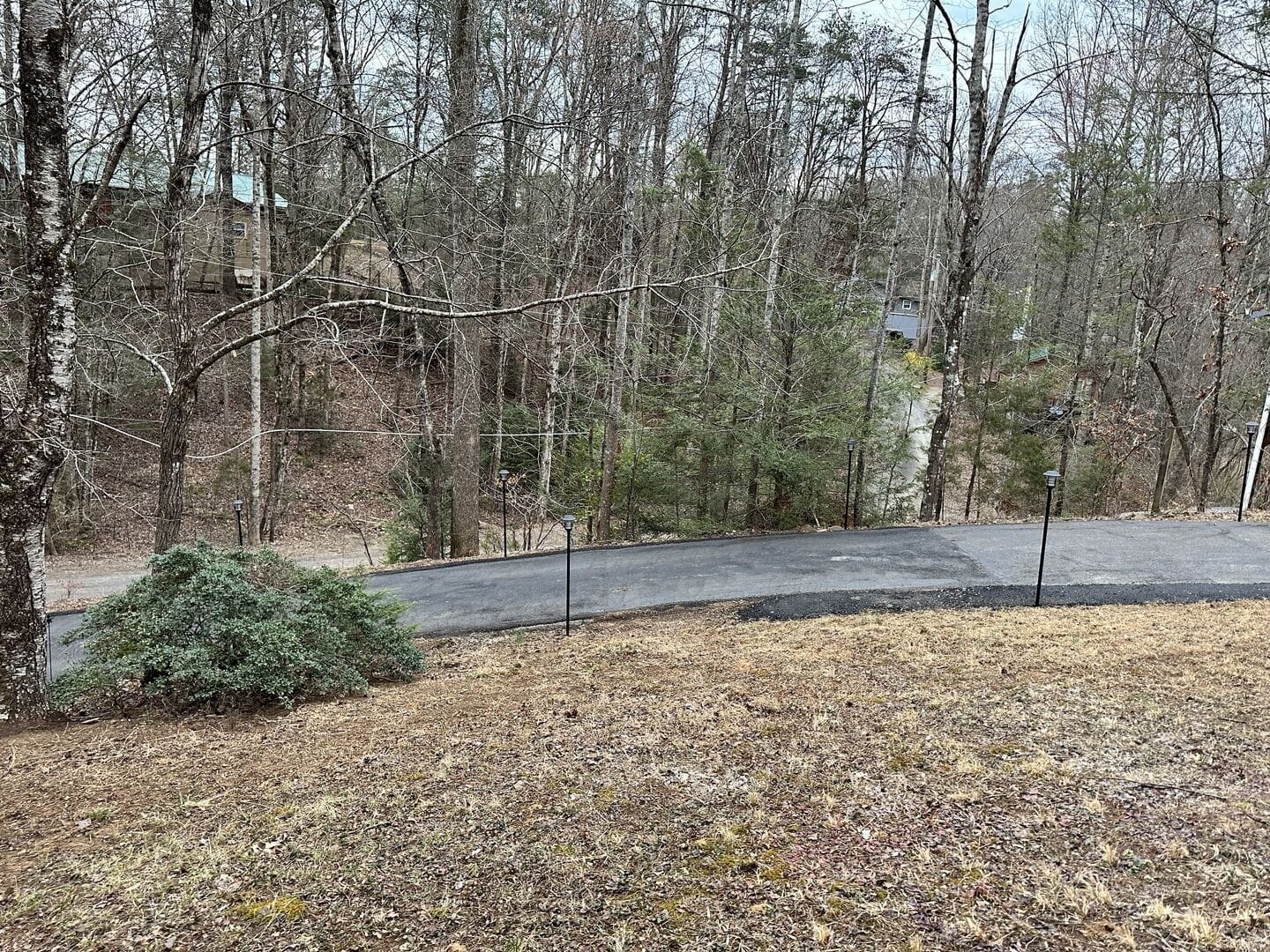 Ein gepflasterter Weg führt in ein bewaldetes Gebiet, wo ein kleiner Busch und Straßenlaternen zu sehen sind.