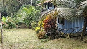 A tropical garden with a blue house and a wooden deck. - Hostal Ebenezer Macedonia Tikuna (Leticia)