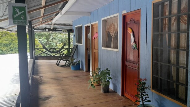 A covered wooden deck with potted plants, a wooden chair, and a door with a decorative bird. - Hostal Ebenezer Macedonia Tikuna (Leticia)