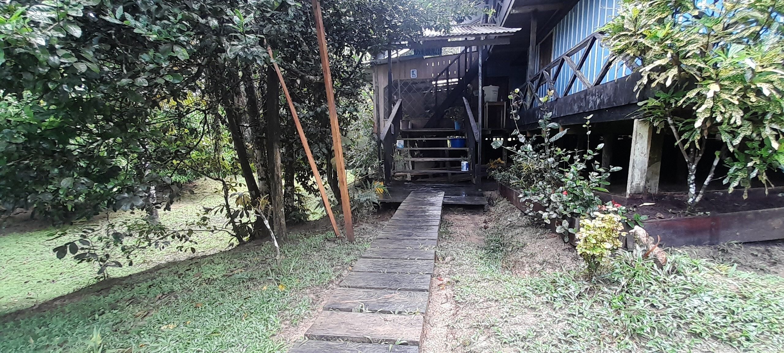 Una escalera de madera que lleva a una construcción rústica con techo de metal y una terraza de madera.