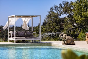 Outdoor pool, sun loungers
